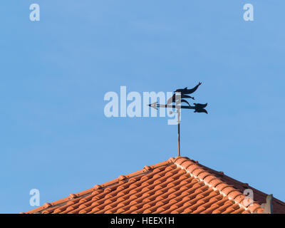 Wetterfahne geformt wie Delfine, platziert auf einem Terrakotta-Dach Stockfoto