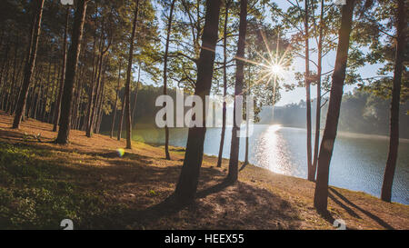 Sonnenaufgang in Pang Ung Pine Forest Park, Pang Ung Mae Hong Son, Thailand Stockfoto