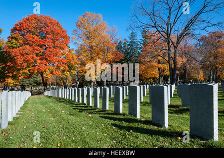 Grabsteine / Gräber der gefallenen Soldaten auf dem Woodland Cemetery in London, Ontario, ON, Kanada. Stockfoto