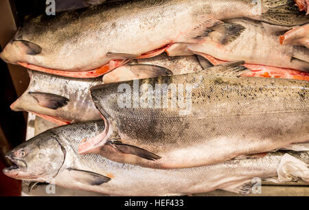 Frischer Lachs auf Eis in einem Meeresfrüchte-Markt Stockfoto