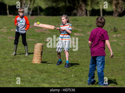 Kinder spielen Cricket in eine Kent Acker, UK. Stockfoto