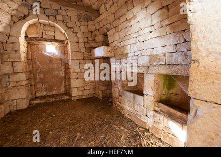 Trulli - Trockenmauern Häuser der Region Apulien in Italien Stockfoto