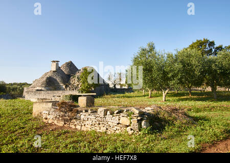 Trulli - Trockenmauern Häuser der Region Apulien in Italien Stockfoto