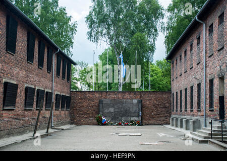 Block 10 Ausführung Wand im Konzentrationslager Auschwitz Birkenau KZ Polen Stockfoto