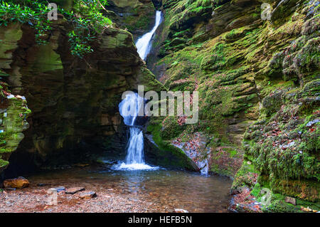 St.Nectans Glen Wasserfall, Trethevey in der Nähe von Tintagel in Cornwall, England, UK Stockfoto