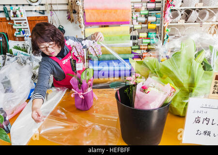 Japan, Honshu, Yamanashi-Präfektur, Kobuchizawa, Supermarkt Blume Abteilung Assistent Geschenkpapier zu Pflanzen Stockfoto