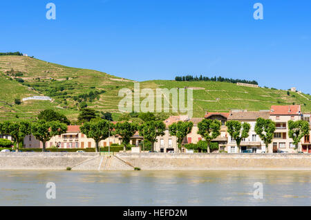 Blick auf die Hügel von Hermitage mit Blick auf dem linken Ufer des Flusses Rhône an der Stadt von Tain-l ' Hermitage, Drôme, Frankreich Stockfoto