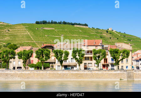 Blick auf die Hügel von Hermitage mit Blick auf dem linken Ufer des Flusses Rhône an der Stadt von Tain-l ' Hermitage, Drôme, Frankreich Stockfoto