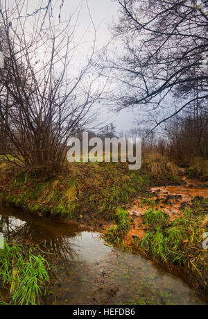 Versickerung von Eisen reichen Grundwasser in einem kleinen Bach Stockfoto