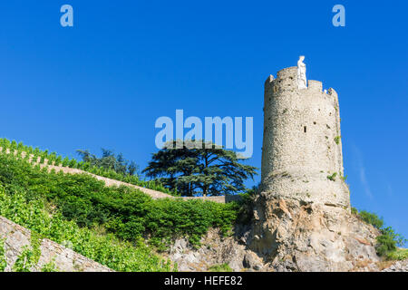 Der Wachturm aus dem 16. Jahrhundert Tour de l'Hôpital übersehen von terrassierten Weinberge oberhalb von Tournon-Sur-Rhône, Ardèche, Frankreich Stockfoto