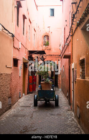 Eine typische Straße mit roten Gebäude im Zentrum von Marrakesch in Marokko Stockfoto