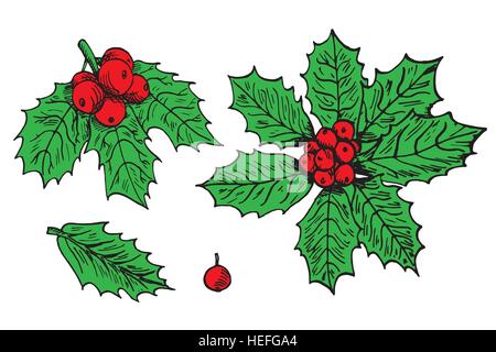 Holly Blätter und Beeren Satz. Hand gezeichnet Doodle Vektor, Pop-Art, Comic-Stil illustration Stock Vektor