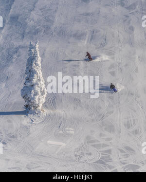 Einsame Schnee Geist Baum mit zwei Skifahrer auf präparierten Neuschnee am Whitefish Mountain Resort oder Big Mountain in Montana Stockfoto