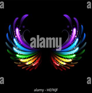 Flügel, bemalt mit bunten funkelt auf schwarzem Hintergrund Stock Vektor