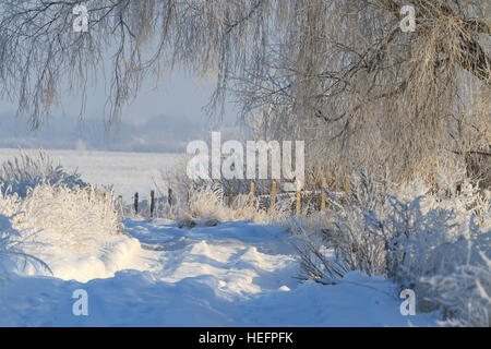 Straße durch Schneeverwehungen Stockfoto