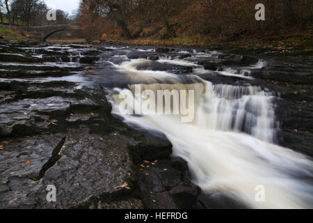 Stainforth Kraft Wasserfälle und Brücke, in der Nähe von Settle, North Yorkshire Dales Stockfoto