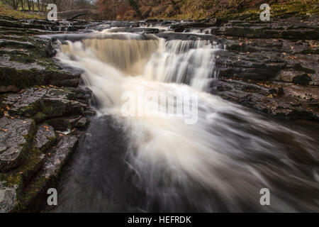 Stainforth Kraft Wasserfälle und Brücke, in der Nähe von Settle, North Yorkshire Dales Stockfoto