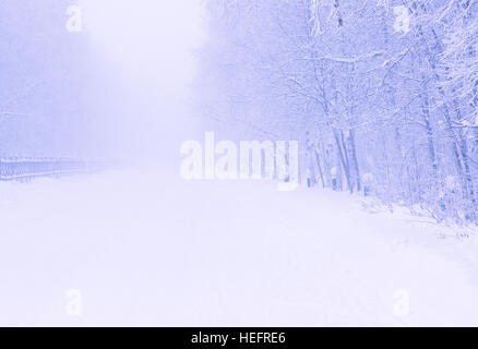 Schöner Hintergrund der Winterpark in einem frostigen Nebel Stockfoto