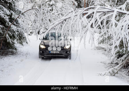 Verschneite Birken schwebt über Forststraße, Schweden Stockfoto