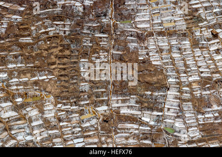 Maras der Saline im Heiligen Tal in der Nähe von Cuzco. Maras ist eine Stadt im Heiligen Tal der Inkas, 40 Kilometer nördlich von Cuzco in Cuzco Regio Stockfoto