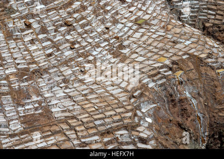 Maras der Saline im Heiligen Tal in der Nähe von Cuzco. Maras ist eine Stadt im Heiligen Tal der Inkas, 40 Kilometer nördlich von Cuzco in Cuzco Regio Stockfoto