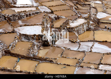 Maras der Saline im Heiligen Tal in der Nähe von Cuzco. Maras ist eine Stadt im Heiligen Tal der Inkas, 40 Kilometer nördlich von Cuzco in Cuzco Regio Stockfoto