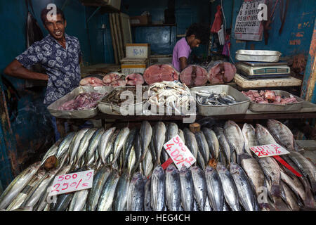 Fisch zum Verkauf in Nuwara Eliya Markthalle, Central Province, Sri Lanka Stockfoto