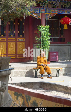 Mönch an der Nord-Wudang-Tempel, Shizuishan, Ningxia, China Stockfoto