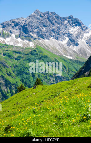 GroÃŸer Wilder, 2379m, Hochvogelgruppe Und Rosszahngruppe, AllgÃ¤uer Alpen, AllgÃ¤u, Bayern, Deutschland, Europa Stockfoto