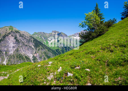 Schneck, 2268m Und GroÃŸer Wilder, 2379m, Hochvogelgruppe Und Rosszahngruppe, AllgÃ¤uer Alpen, AllgÃ¤u, Bayern, Deutschland, Europa Stockfoto