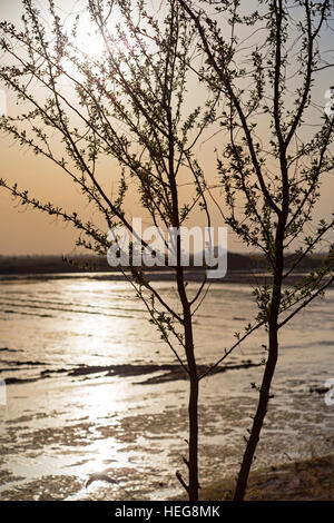 Feuchtgebiete am Sand Lake, Shizuishan, Ningxia, China Stockfoto