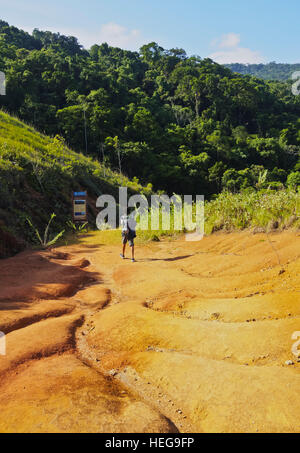 Brasilien, Bundesstaat Sao Paulo, Ilhabela Island, Blick auf den Weg zum Bonete. Stockfoto