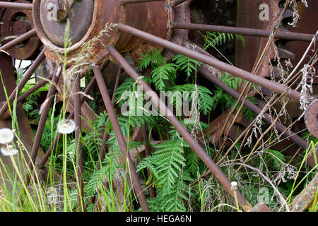 Speichen auf einer alten Eisen Rad Stockfoto