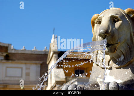 Ein Löwe auf der Piazza Popolo Stockfoto