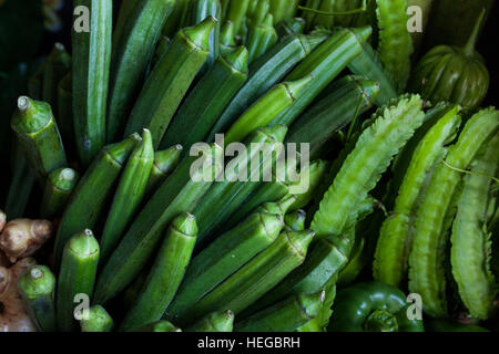 Frische Winkel Luffa, abgewinkelt Kürbis (Luffa Acutangula Roxb.) Obst im Korb Stockfoto
