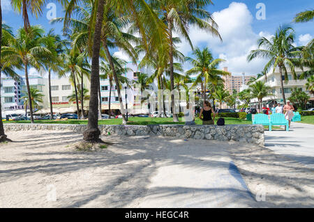 Miami, USA - 5. Oktober 2012: Ansicht von Miami Beach mit Palmen als Hintergrund in Florida, USA Stockfoto