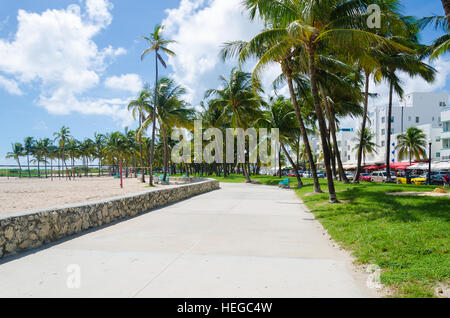 Miami, USA - 5. Oktober 2012: Ansicht von Miami Beach mit Palmen als Hintergrund in Florida, USA Stockfoto