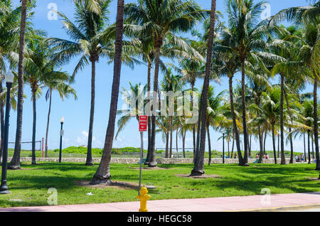 Miami, USA - 5. Oktober 2012: Ansicht von Miami Beach mit Palmen als Hintergrund in Florida, USA Stockfoto