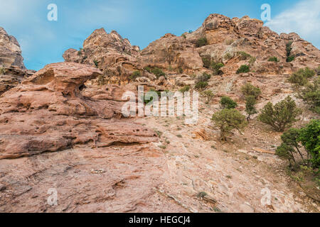 Wüste landschaftlich in der Nähe von Petra in Jordanien Stockfoto