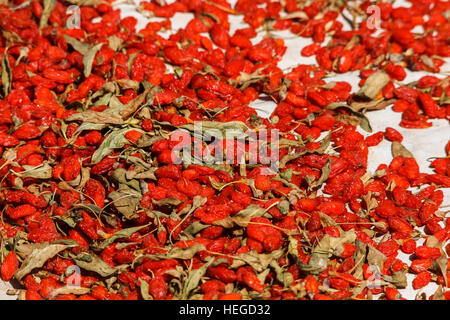 Goji Beeren trocknen in der Sonne, Provinz Xinjiang, China Stockfoto