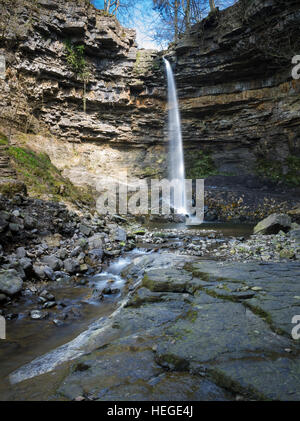 Hardraw Kraft ist ein Wasserfall auf dem Hardraw Beck in Hardraw Narbe, einer bewaldeten Schlucht etwas außerhalb der Ortschaft Hardraw, in der Nähe der Stadt Hawes, Wensleyd Stockfoto