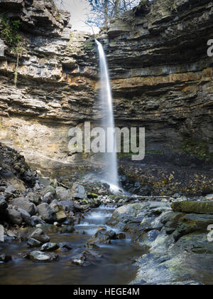 Hardraw Kraft ist ein Wasserfall auf dem Hardraw Beck in Hardraw Narbe, einer bewaldeten Schlucht etwas außerhalb der Ortschaft Hardraw, in der Nähe der Stadt Hawes, Wensleyd Stockfoto