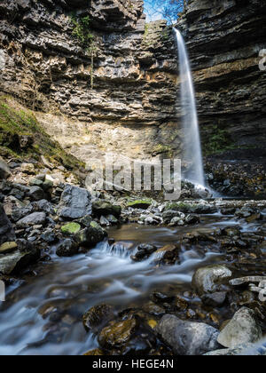 Hardraw Kraft ist ein Wasserfall auf dem Hardraw Beck in Hardraw Narbe, einer bewaldeten Schlucht etwas außerhalb der Ortschaft Hardraw, in der Nähe der Stadt Hawes, Wensleyd Stockfoto