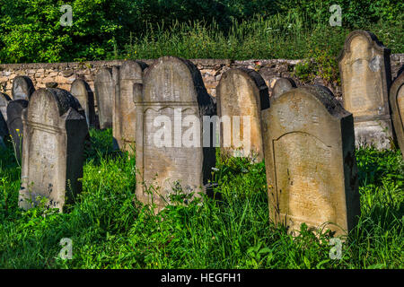 Neuer jüdischer Friedhof in Dukla, Kleinpolen, Polen Stockfoto