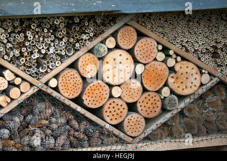 Insektenhotel, UK Stockfoto