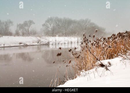 Schneefall über den Fluss. Neblig trübe verschneiten Winterwetter. Zuckerrohr und Wiese unter Schnee und Frost am Ufer eines Flusses. Stockfoto