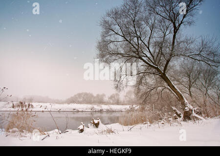Schneefall über den Fluss. Neblig trübe verschneiten Winterwetter. Zuckerrohr und Wiese unter Schnee und Frost am Ufer eines Flusses. Stockfoto