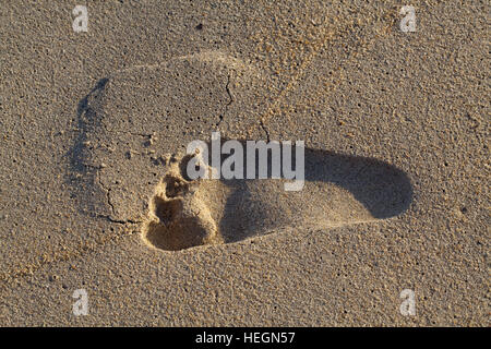 Menschlichen Fußabdruck im nassen Sand. Sambava Strand. Sava Region. Nord-Ost-Madagaskar. Stockfoto