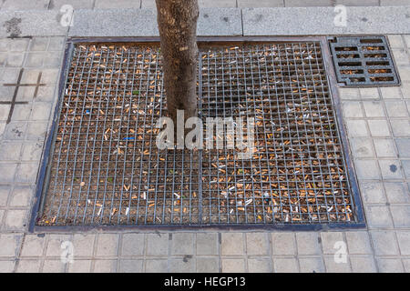 Ein Metallgitter umgibt eine kleiner Baumstamm in einen Bürgersteig mit vielen verworfen verwendet Zigarette butts in Barcelona, Spanien. Stockfoto