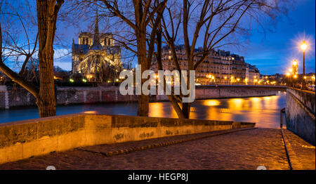 Dämmerung auf Kathedrale Notre Dame de Paris und die Ufer der Seine von Ile Saint Louis. 4. Arrondissement, Paris, Frankreich Stockfoto
